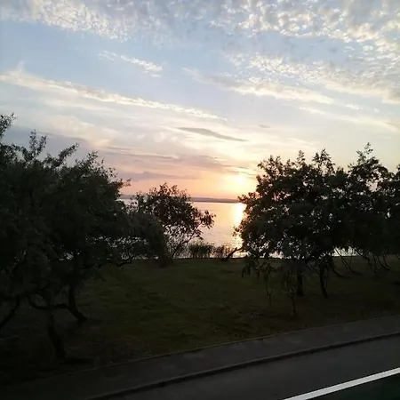 Swiss * Mamaia
